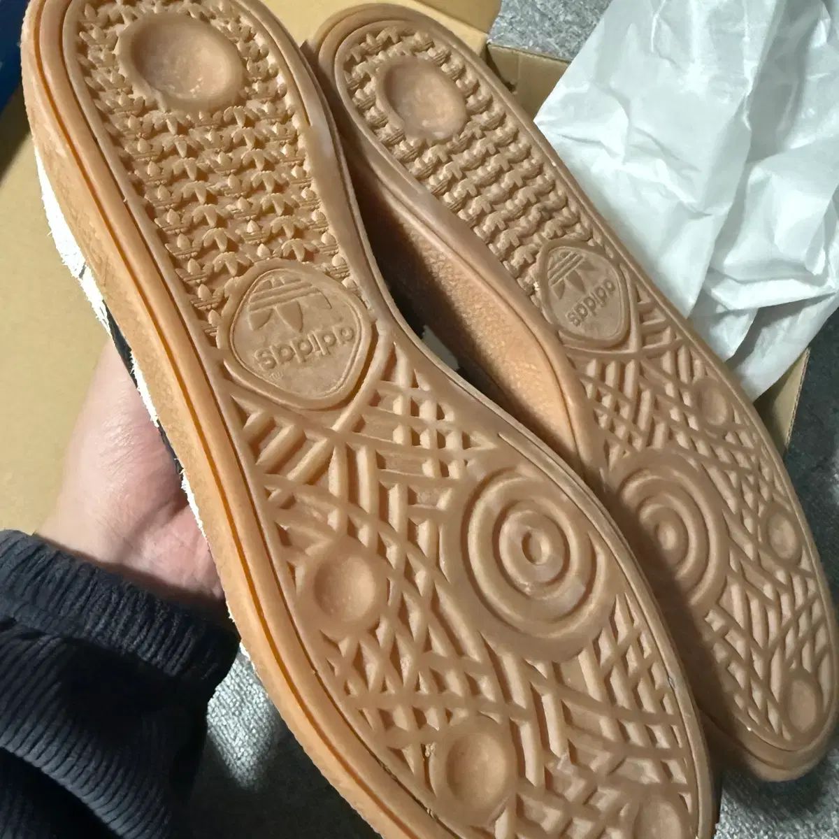 アディダス スぺツィアル 会見 280