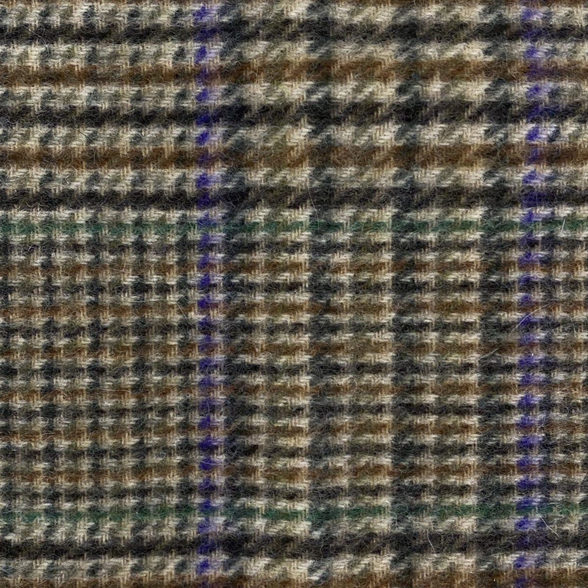 ジョシュアエリス