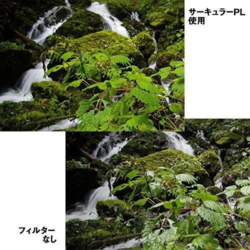 HAKUBA PLフィルター 77 mm サーキュラーPL 反射率 0.6% 色ムラなし コントラスト強調 反射除去 撥水防汚 薄枠 日本製 XC