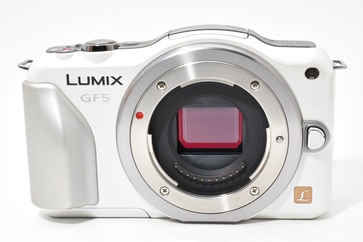 DMC-GF 5