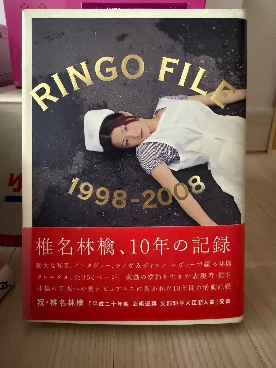 日本 写真集 椎名 ニキ 1998-2008