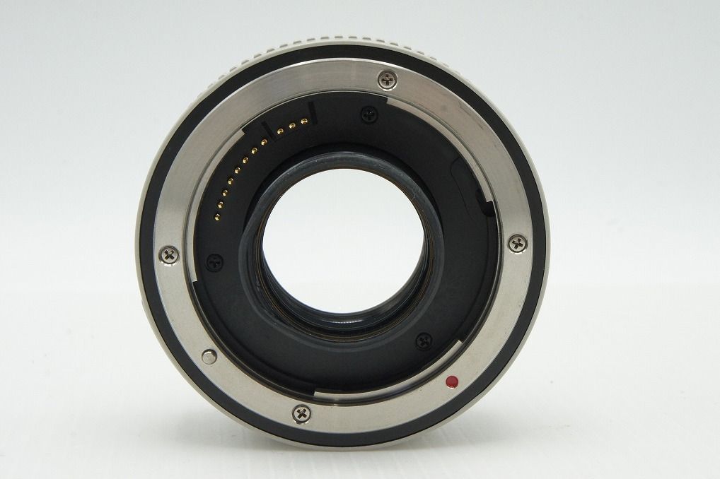 2型 エクステンダー