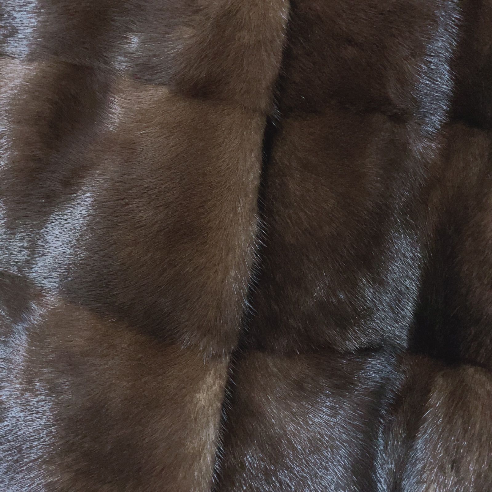 zk4 【極美品】【希少】【最高級】VIOLETA ヴィオレタ 最上級