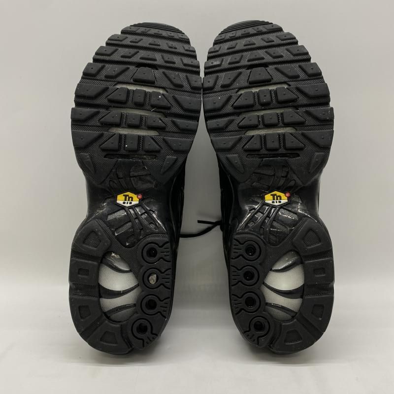  NIKE AIR MAX PLUS TRIPLE BLACK サイズ27.5 cm 604133-050 ナイキ 24 その他 靴