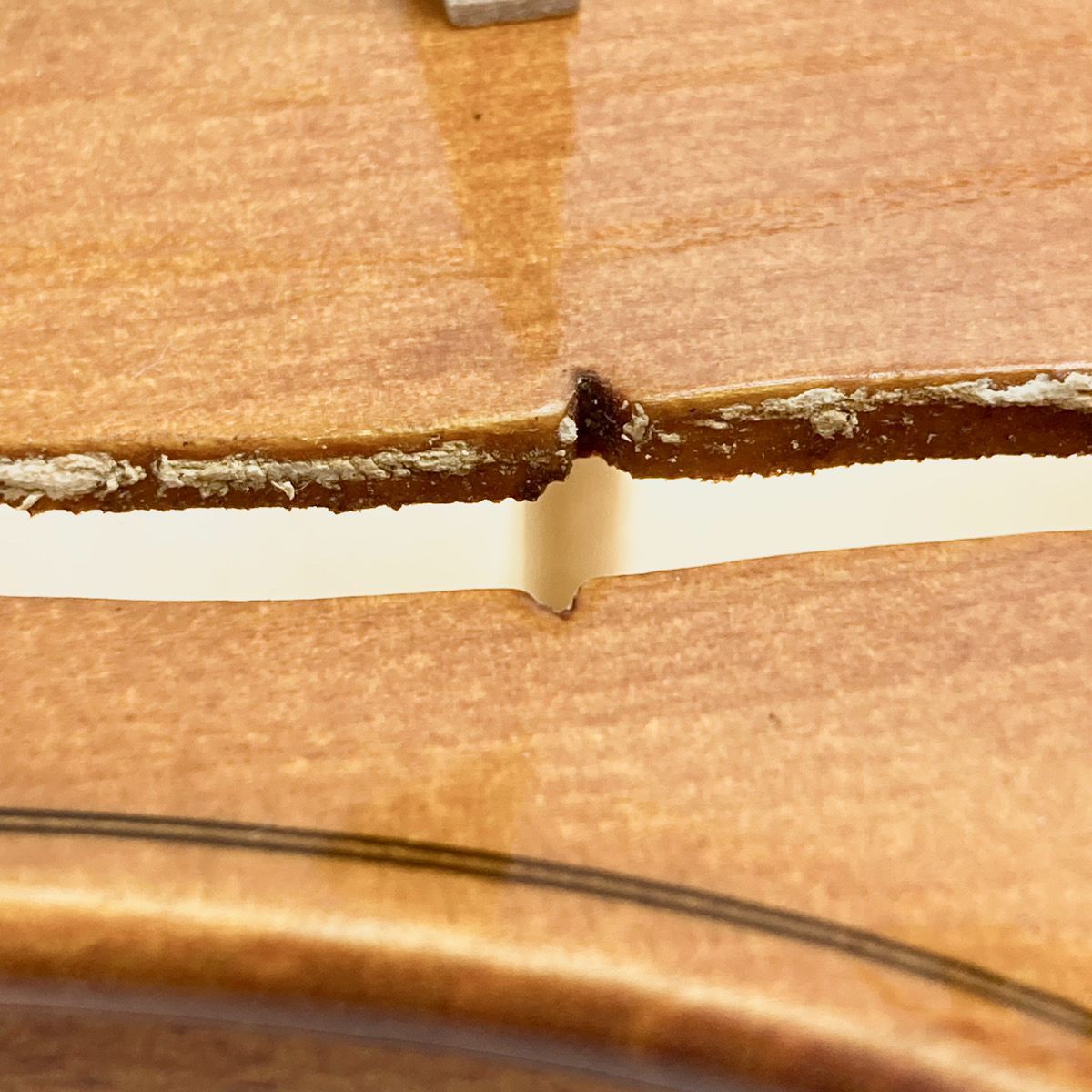 Josef Jan Dvorak ヨゼフ・ジャン・ドヴォルザーク 3/4 バイオリン