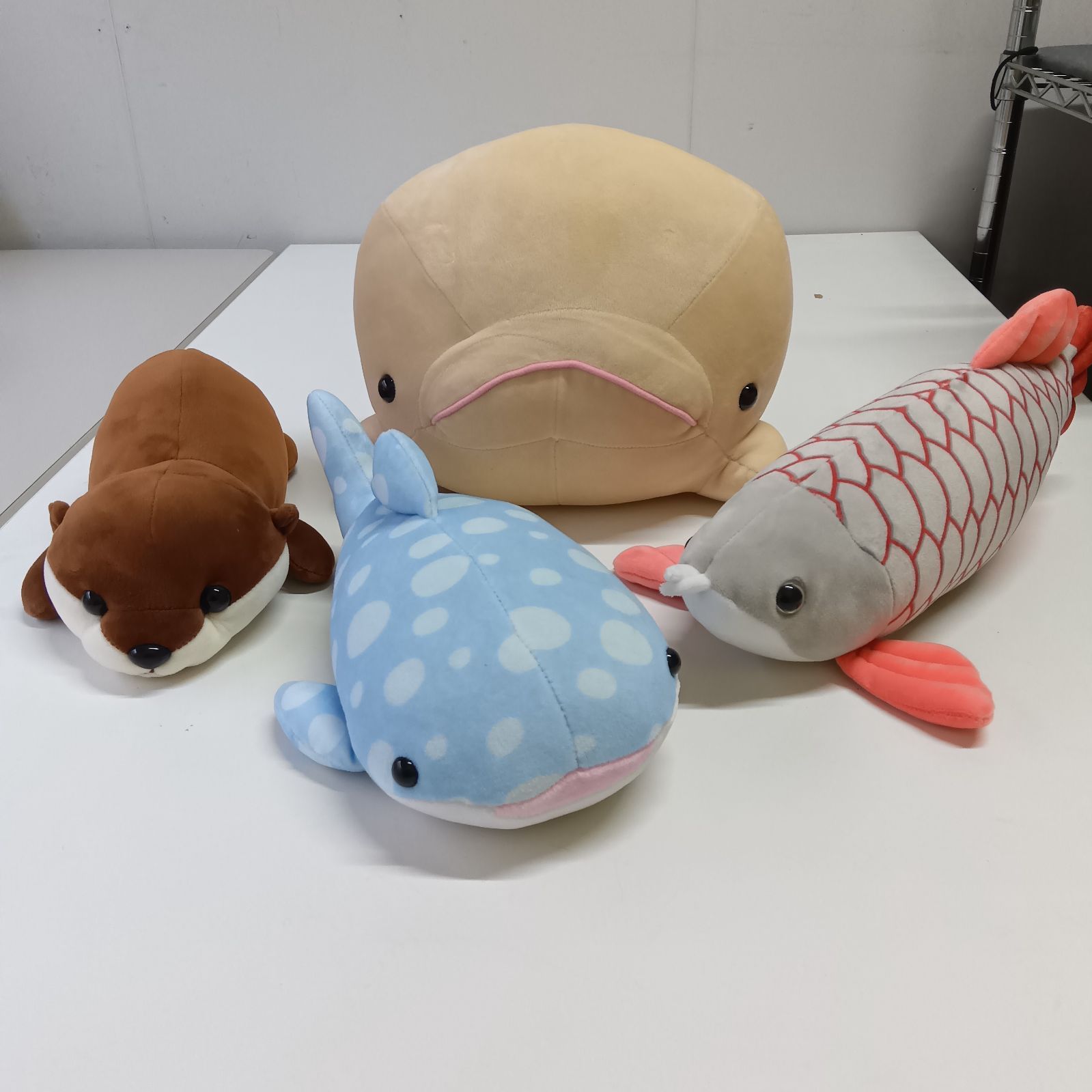 カワウソ出品 水族館 ぬいぐるみセット カワウソ/アロワナ/シロイルカ/ジンベイザメ