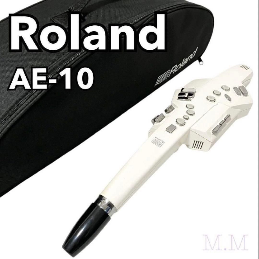 美品】 Roland エアロフォン AE-10 ホワイト ローランド ケース付