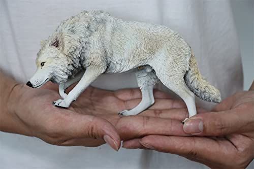 1|6 サイズ コヨーテ オオカミ 狼 ウルフ 動物 フィギュア リアル PVC プラモデル ム 大人のおもちゃ 模型 20 cm級 オリジナル スタチュー 塗装済 完成品 動物好き プレゼント ドール 置物 126 C po 53 da 42 eb