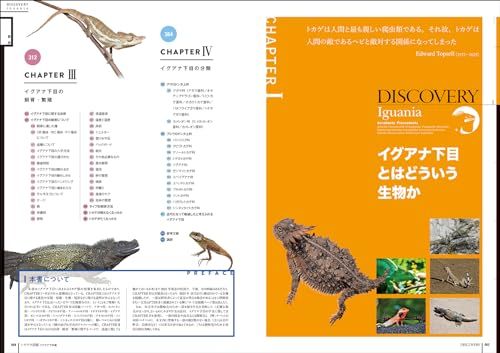  トカゲ大図鑑 イグアナ下目編 アガマ科 カメレオン科およびイグアナ科周辺の種の分類 生態 法律 飼育 繁殖などを解説 ディスカバリー生き物 再発見 po 9992 dee 5 その他 キッチン 食器