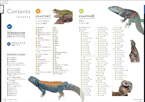 トカゲ大図鑑 イグアナ下目編 アガマ科 カメレオン科およびイグアナ科周辺の種の分類 生態 法律 飼育 繁殖などを解説 ディスカバリー生き物 再発見 po 9992 dee 5