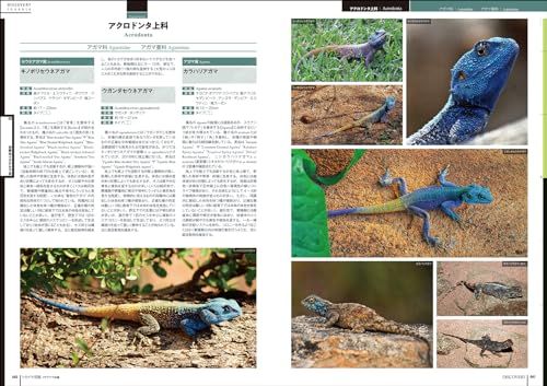 ディスカバリー生き物 再発見