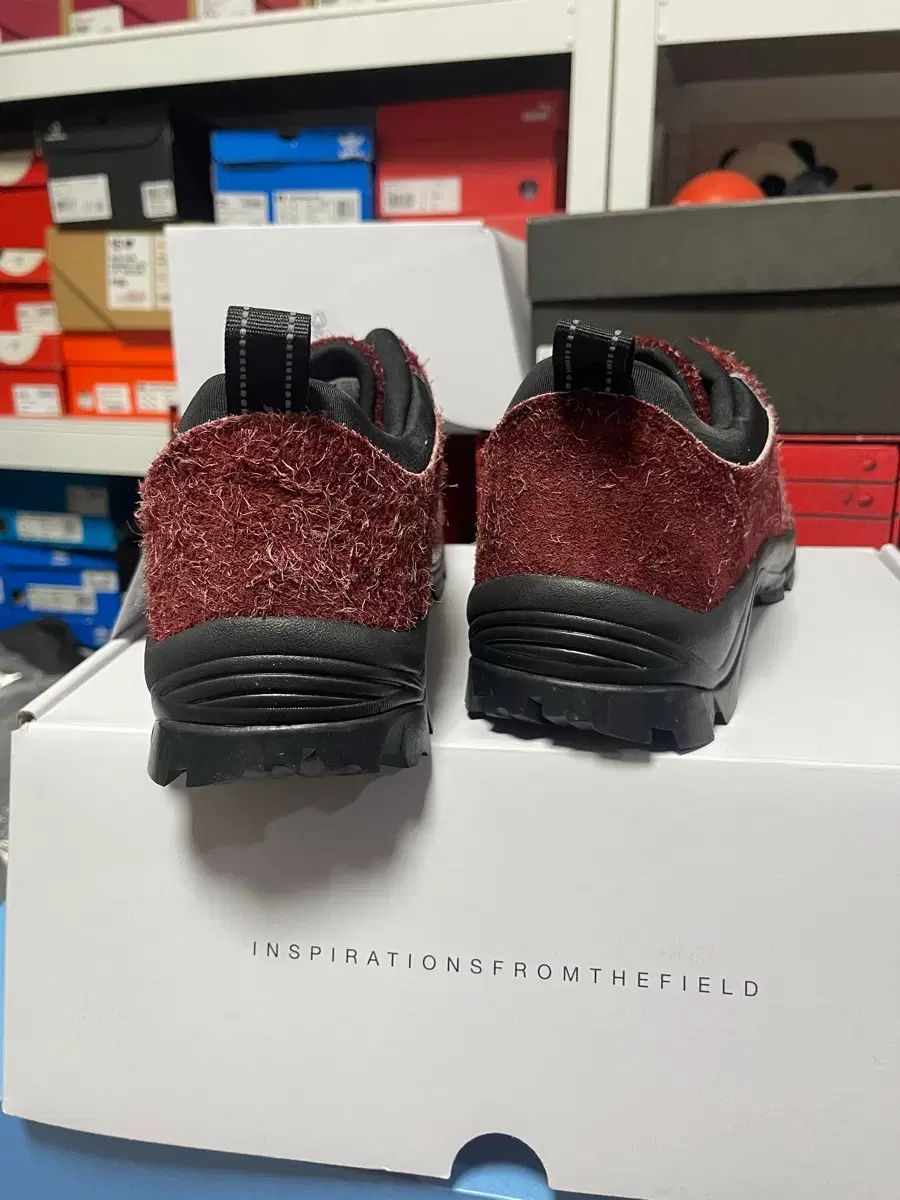 280 YASE フォレストポップ ハイキング シューズ