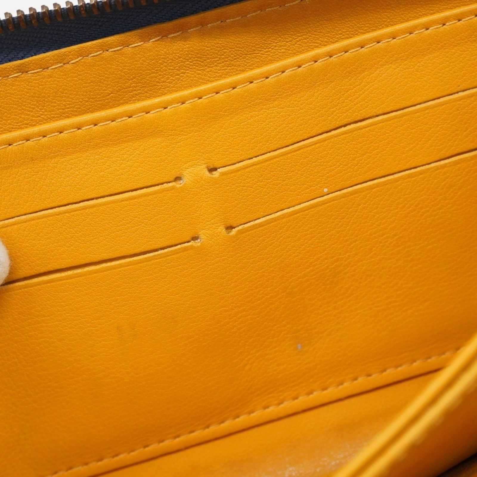 ブルーレディース