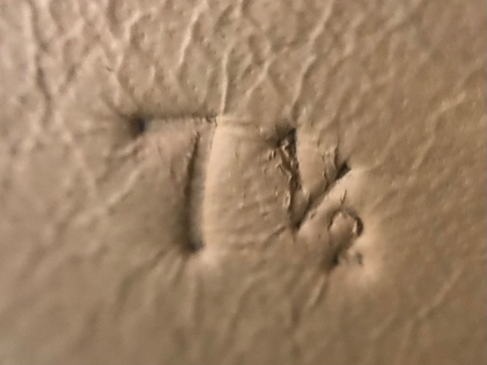 サルヴァトーレフェラガモ SalvatoreFerragamo