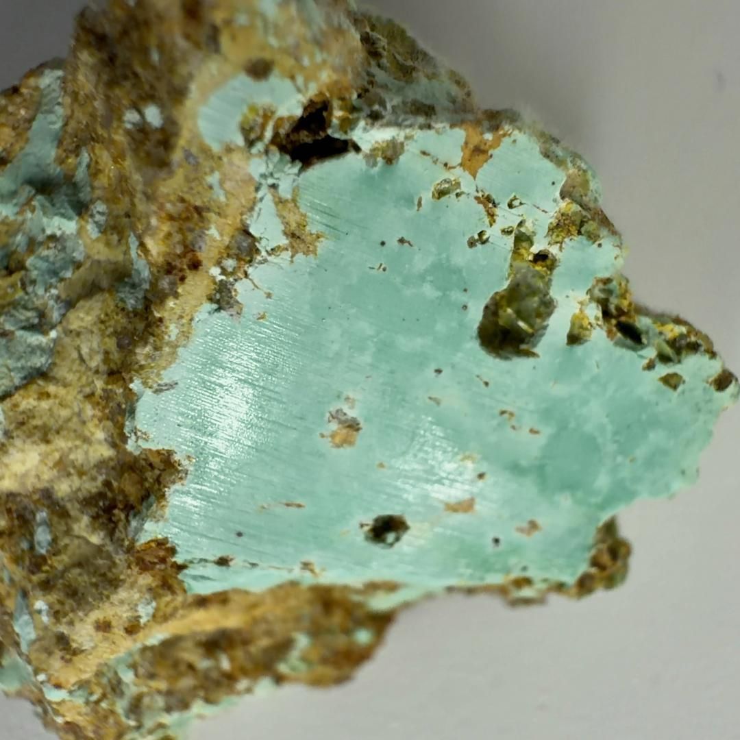 アルメニアントルコ石 原石