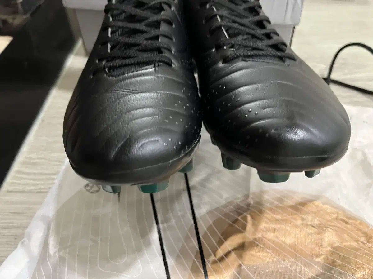 ティエンポ レジェンド10