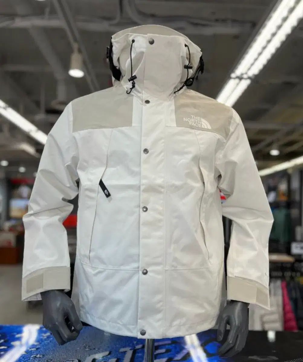 THE NORTH FACE GTXマウンテン ジャケット