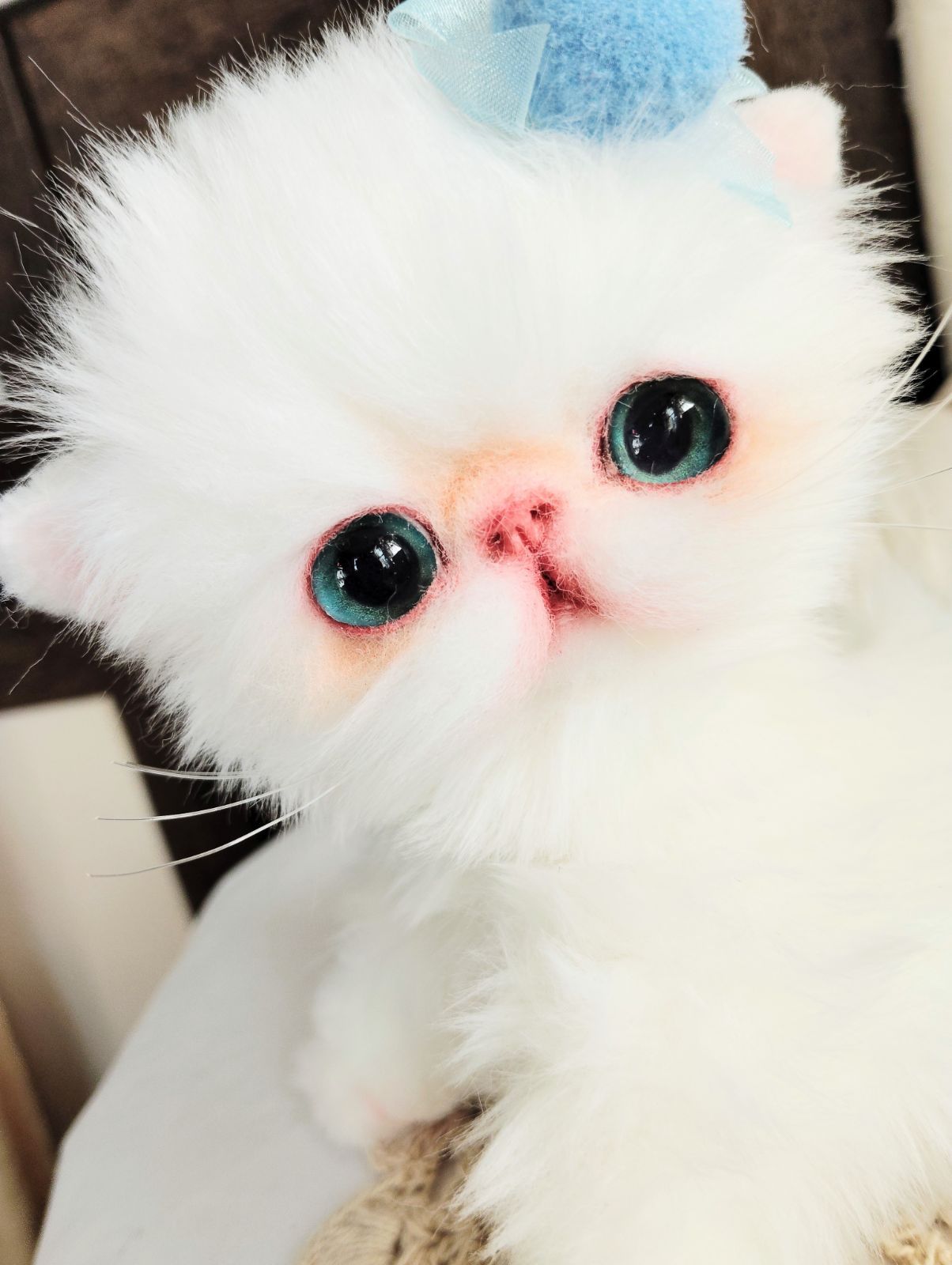 幼猫♡子猫ノアちゃん♡エキゾチック♡アートドール♡ぬいぐるみ