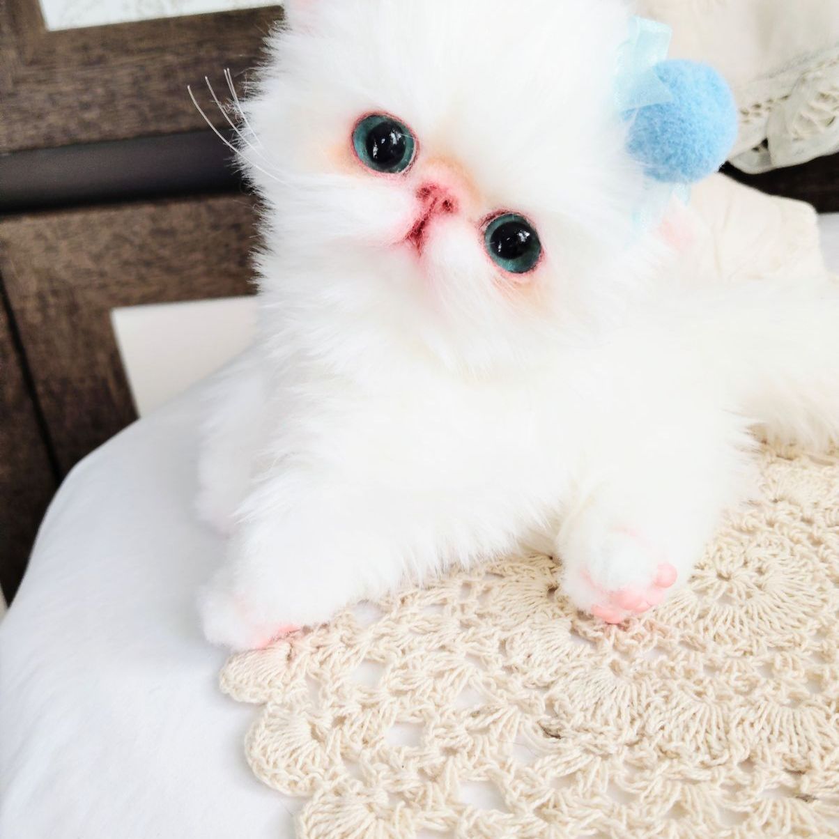 子猫ノアちゃん