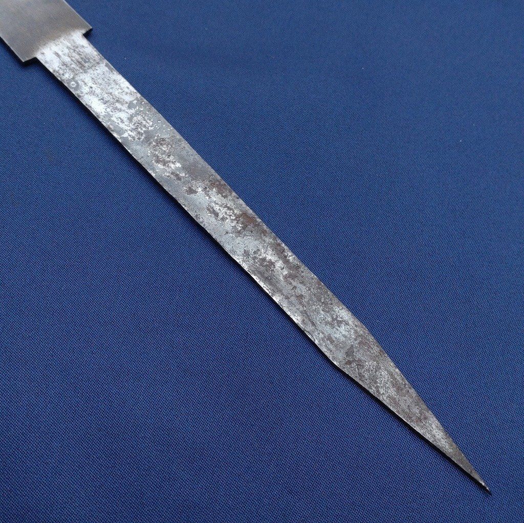 タイ鋸 たいのこ