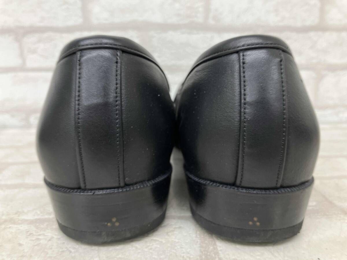 サガンクラシックギンコ