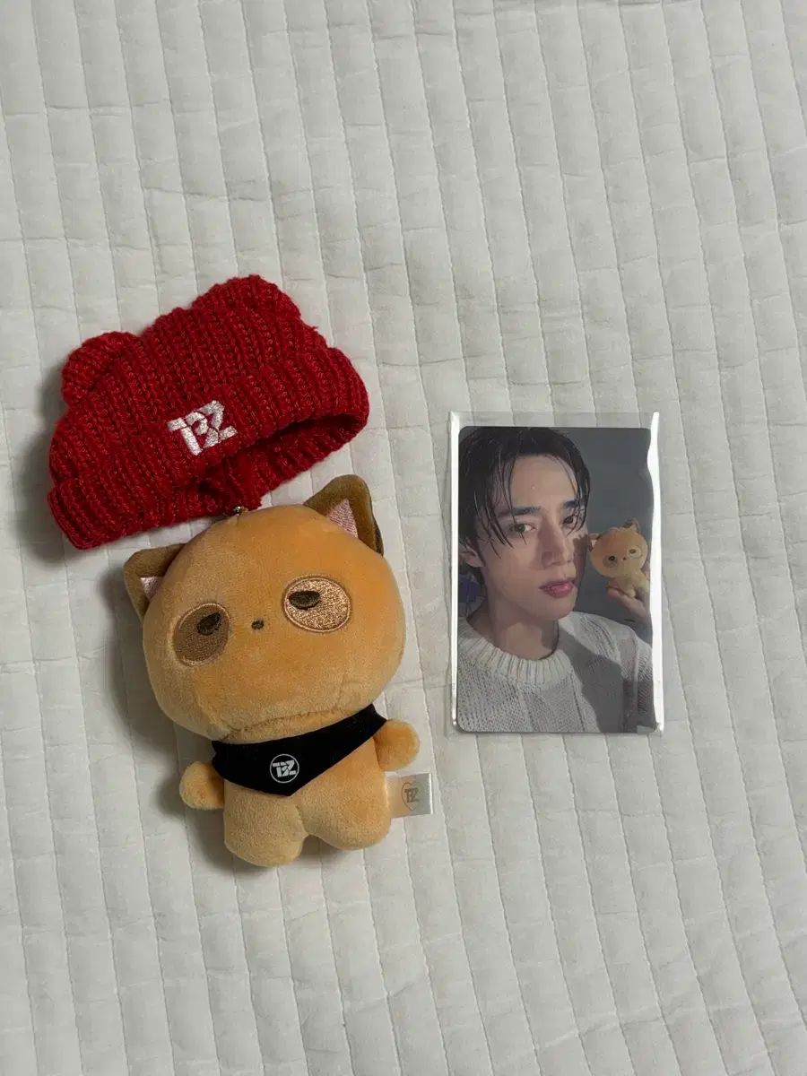 THE BOYZ(ザ・ボーイズ・ドボイズ) ソヌ(SUNWOO) ぬいぐるみ 떤굴 제너