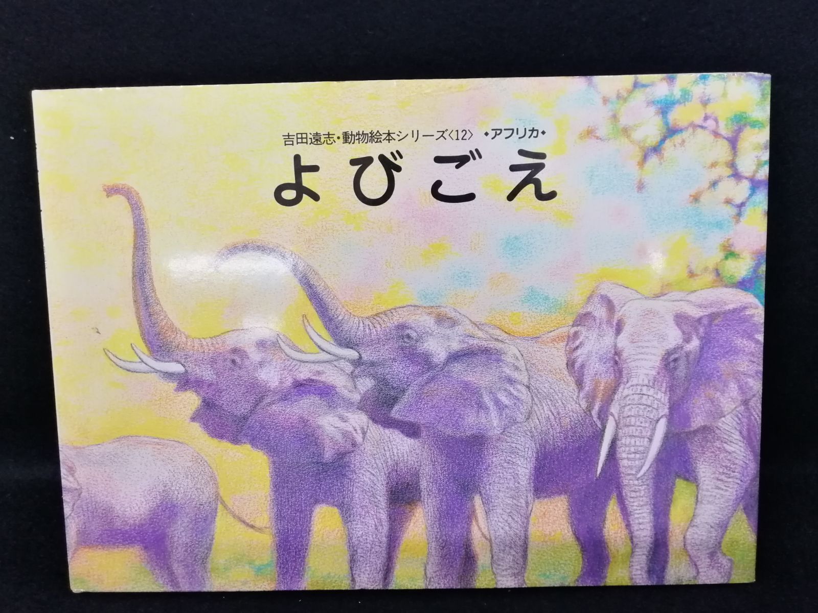 吉田遠志 動物絵本シリーズ アフリカ (11)あしおと(12)よびごえ(13)じ 