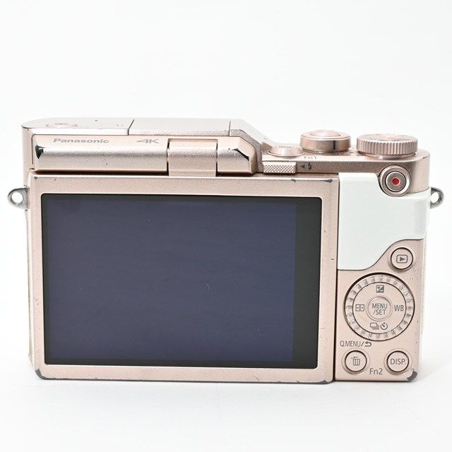 DC-GF W-W｜軽量コンパクトなミラーレス一眼｜外装に使用感はあるものの光学良好