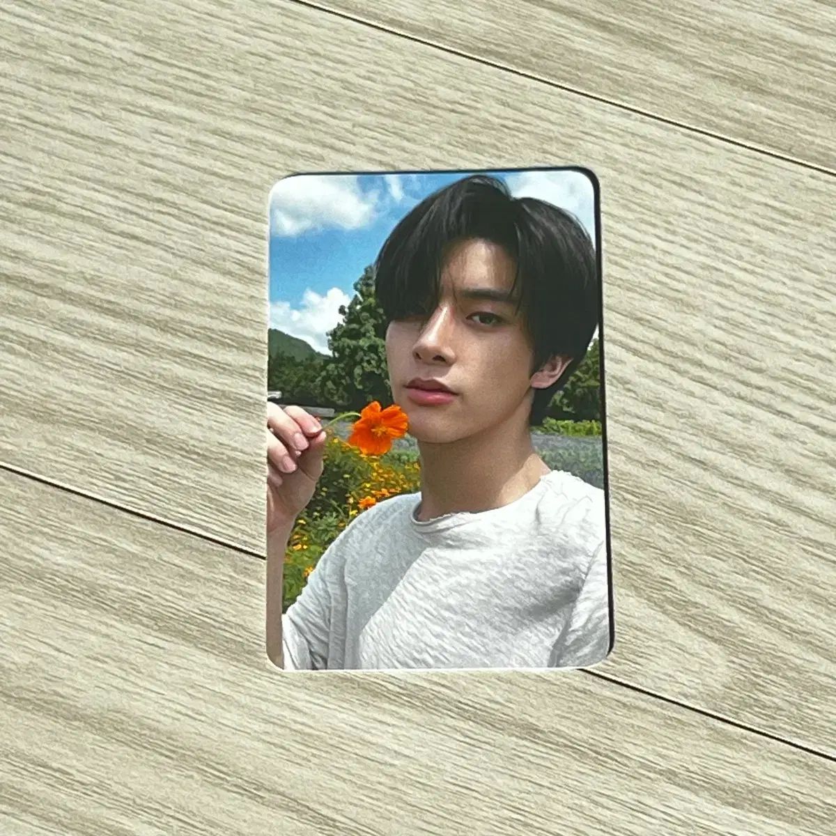 ENHYPEN（エンハイプン・エナプ） SWEET VENOM ORANGE BLOOD ショー