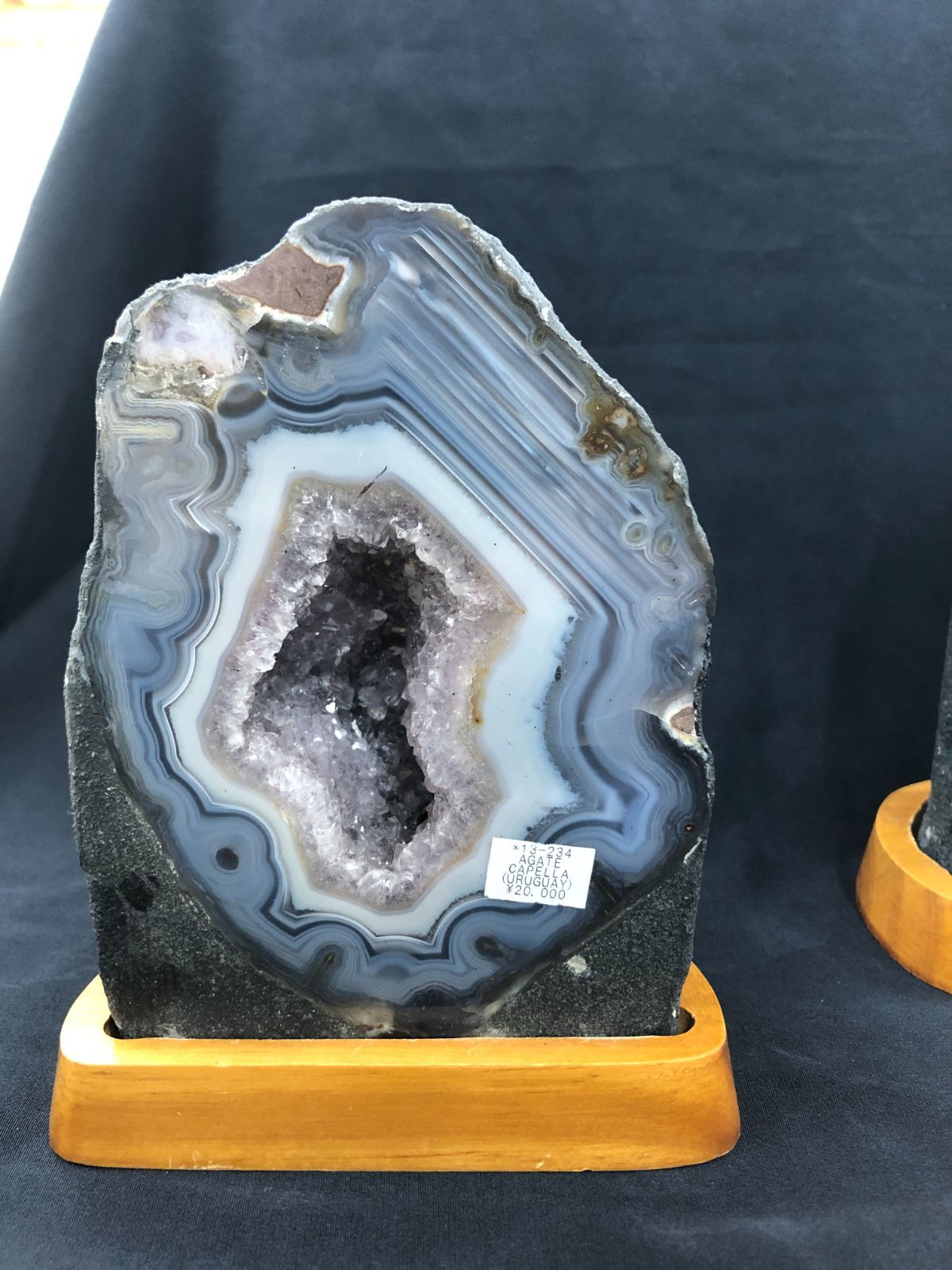 アゲートミニカペラ