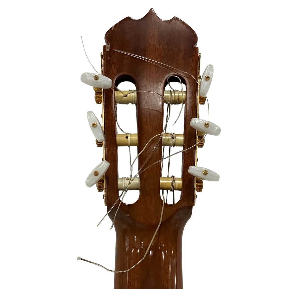 クラシックギター