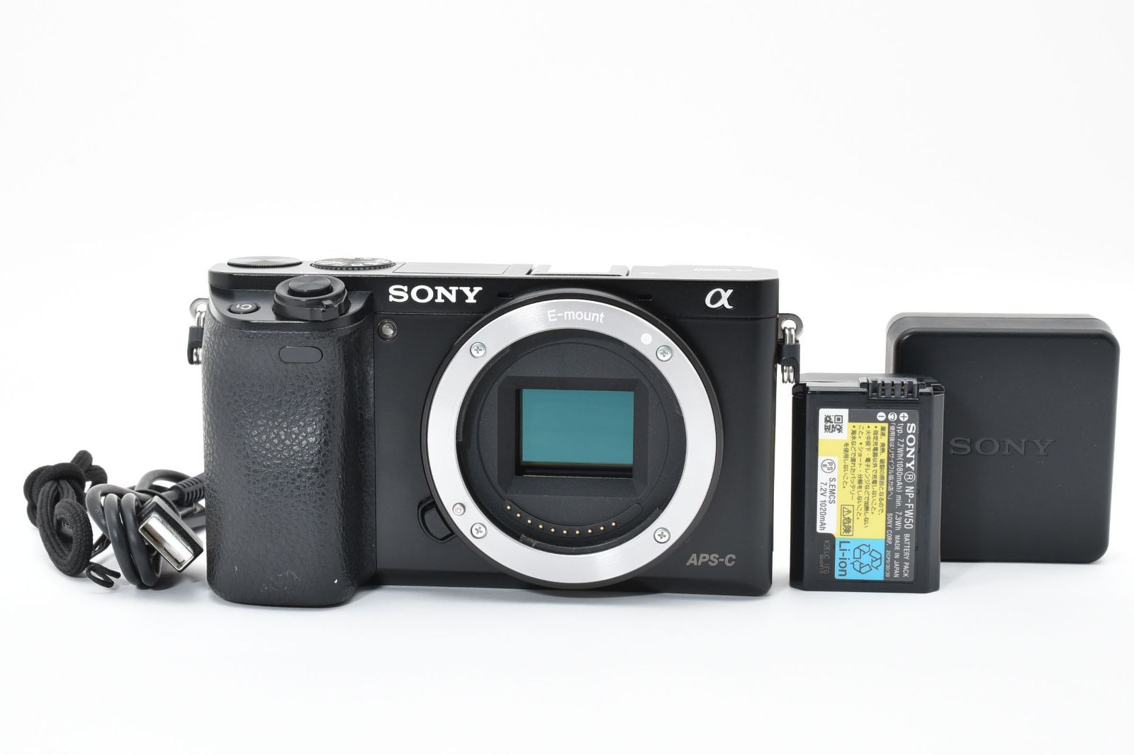10143ショット 上品 Sony α6000 ブラック バッテリーチャージャーセット T 018
