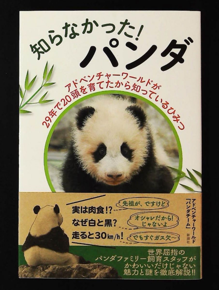 知らなかった！パンダ: アドベンチャーワールドが29年で20頭育てた