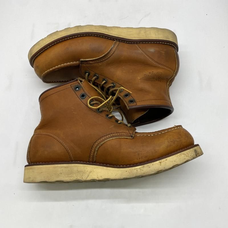 WING アイリッシュセッター