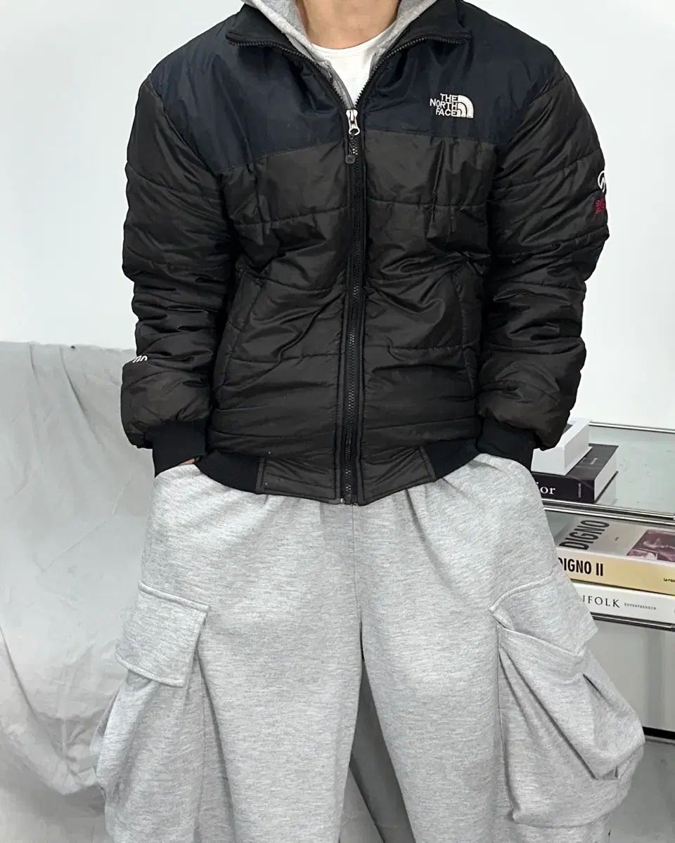 THE NORTH FACE サミットシリーズ 700 軽量 ダウン L