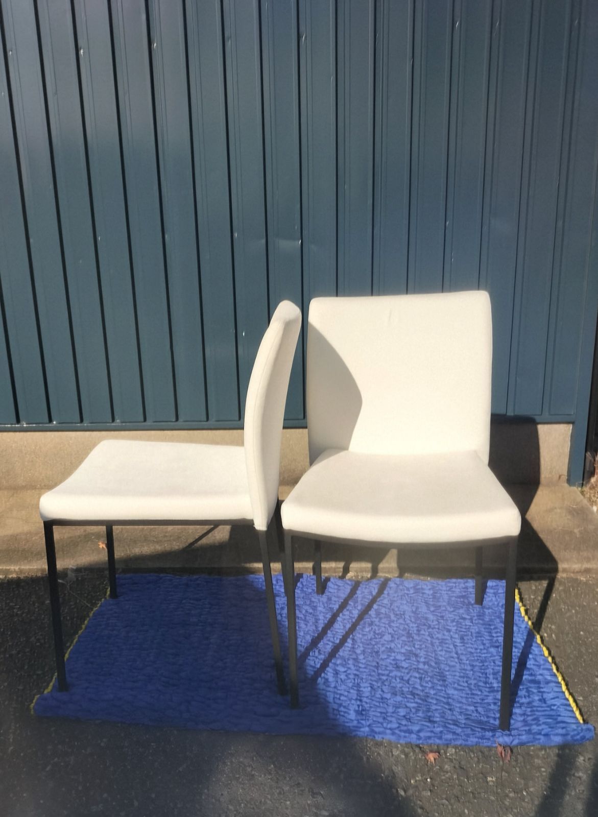 タウチーニ2 チェア2脚 FUJIEI 展示品 ASM 11⑤