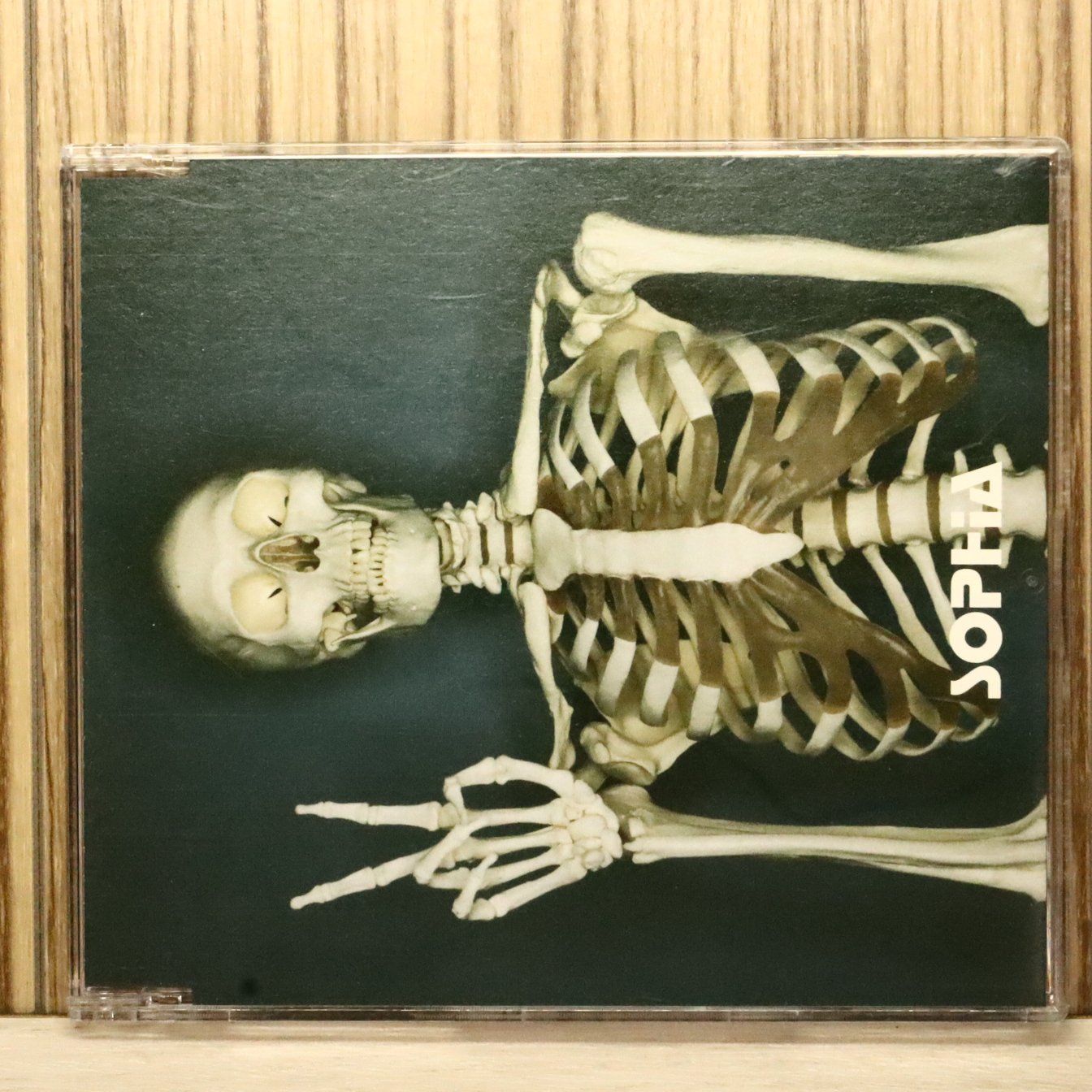 国内盤CD☆ソフィア/SOPHIA□ 進化論～GOOD MORNING!-HELLO!21st