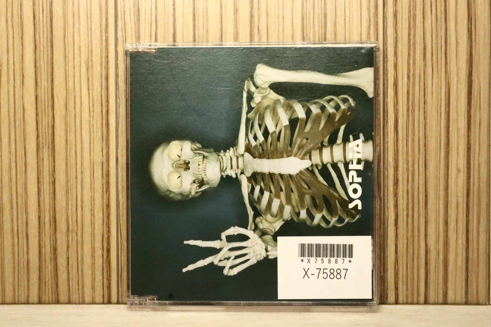 国内盤CD☆ソフィア/SOPHIA□ 進化論～GOOD MORNING!-HELLO!21st