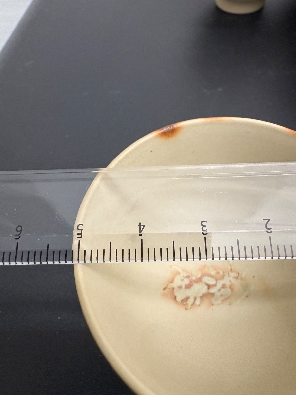 ♥ 煎茶道具セット常滑焼の急須と湯呑み 湯冷ましセット