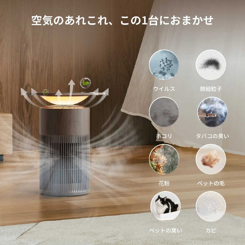 新品 未開封 】 SWITCHBOT 空気清浄機Table(ウォールナット) ［適用畳