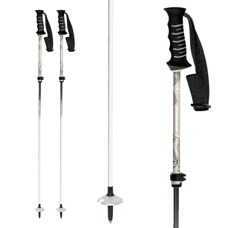 オガサカ ストック スキーポール 伸縮 カーボン OGASAKA SKI オガサカ] スキーストック 伸縮カーボンポール LC-FS/BE BE 95-120