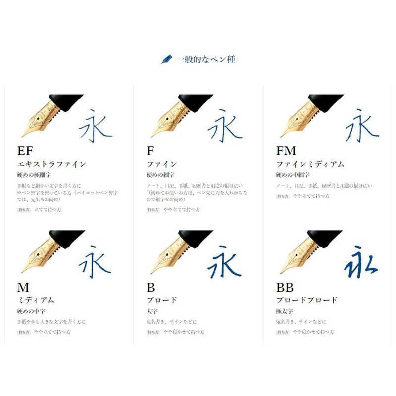 パイロット 万年筆 カスタム74 B F ♥