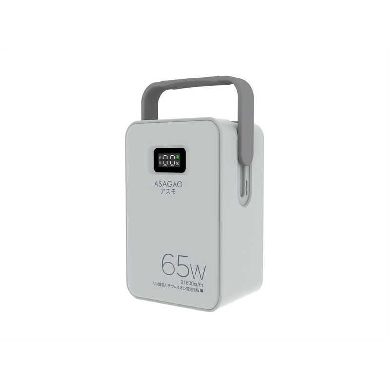 リン酸鉄リチウムイオン電池