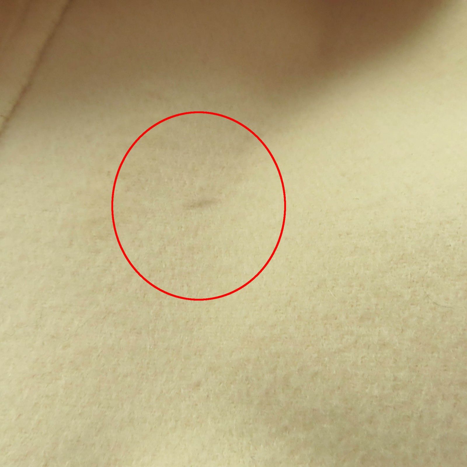 イタリア製 レディース