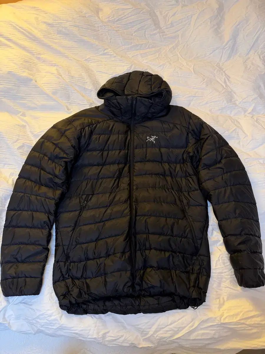 ARC TERYX Cerium LTフーディ L