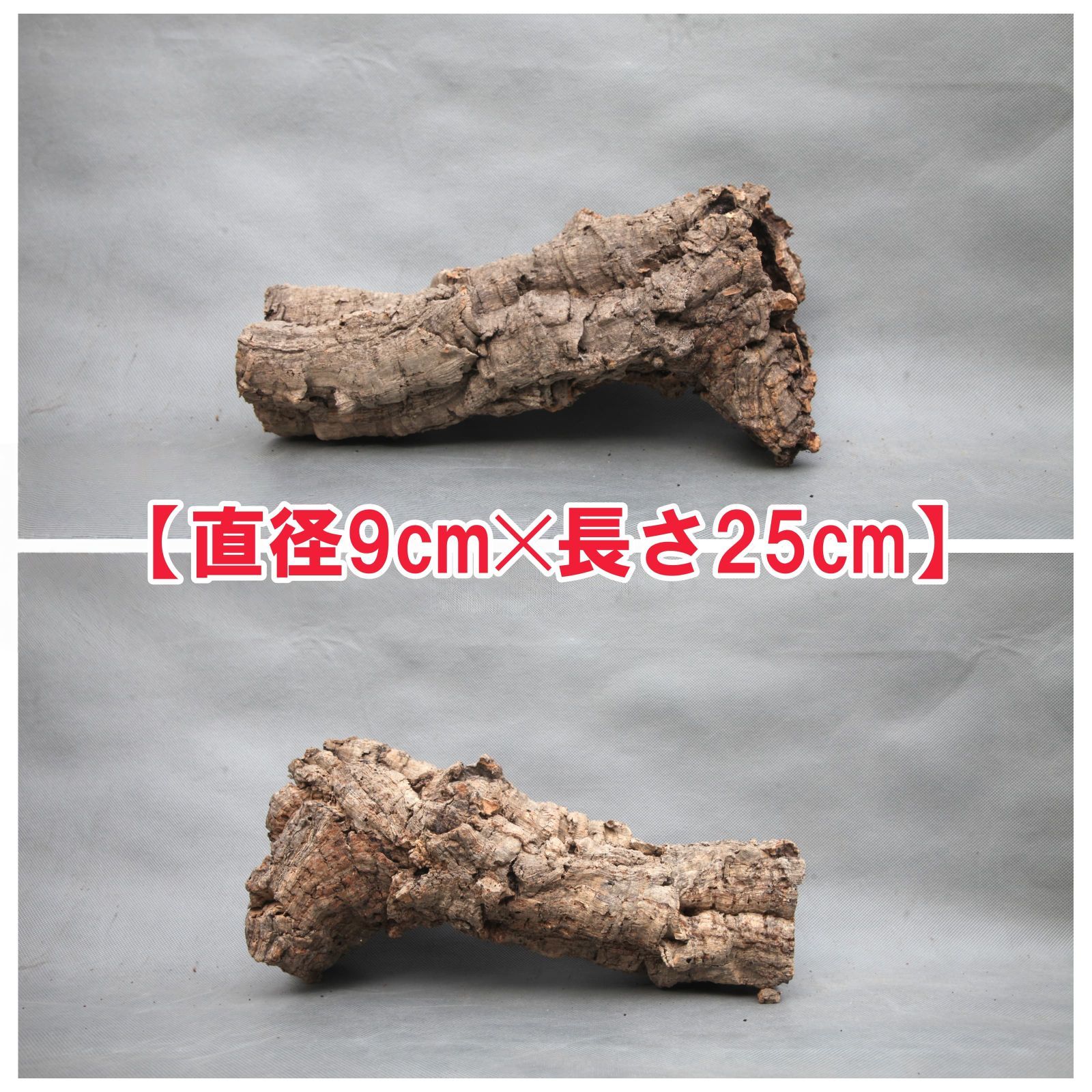 W266 ポルトガル産 キャノンコルク コルク樹皮 コルク板　バージンコルク SD206 ポルトガル産 キャノンコルク コルク樹皮 コルク板 バージン