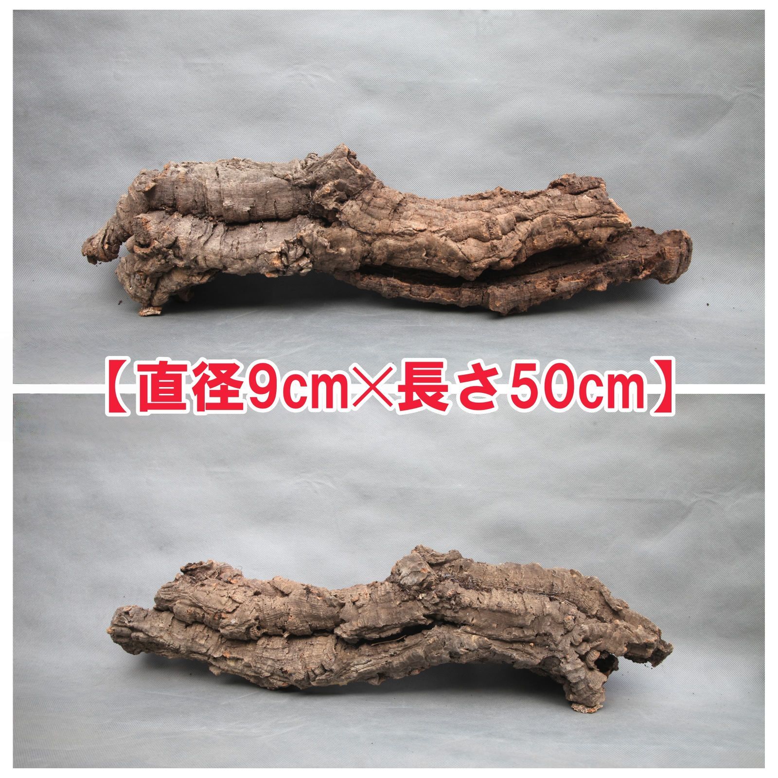 250514　 ポルトガル産 キャノンコルク コルク樹皮 　バージンコルク W512 ポルトガル産 キャノンコルク コルク樹皮 コルク板 バージン