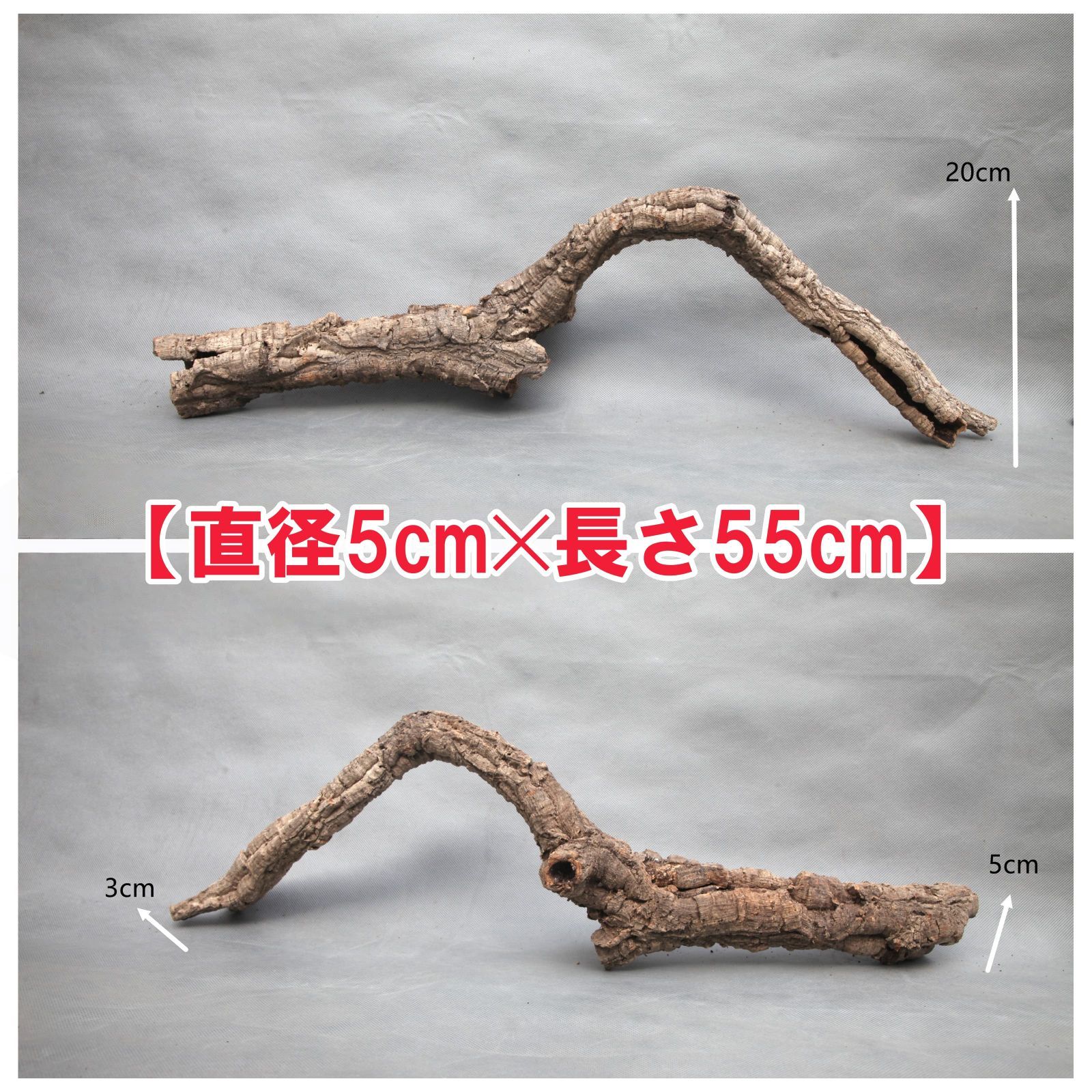255S27　 ポルトガル産 キャノンコルク コルク樹皮 バージンコルク 255S27 ポルトガル産 キャノンコルク コルク樹皮 バージンコルク