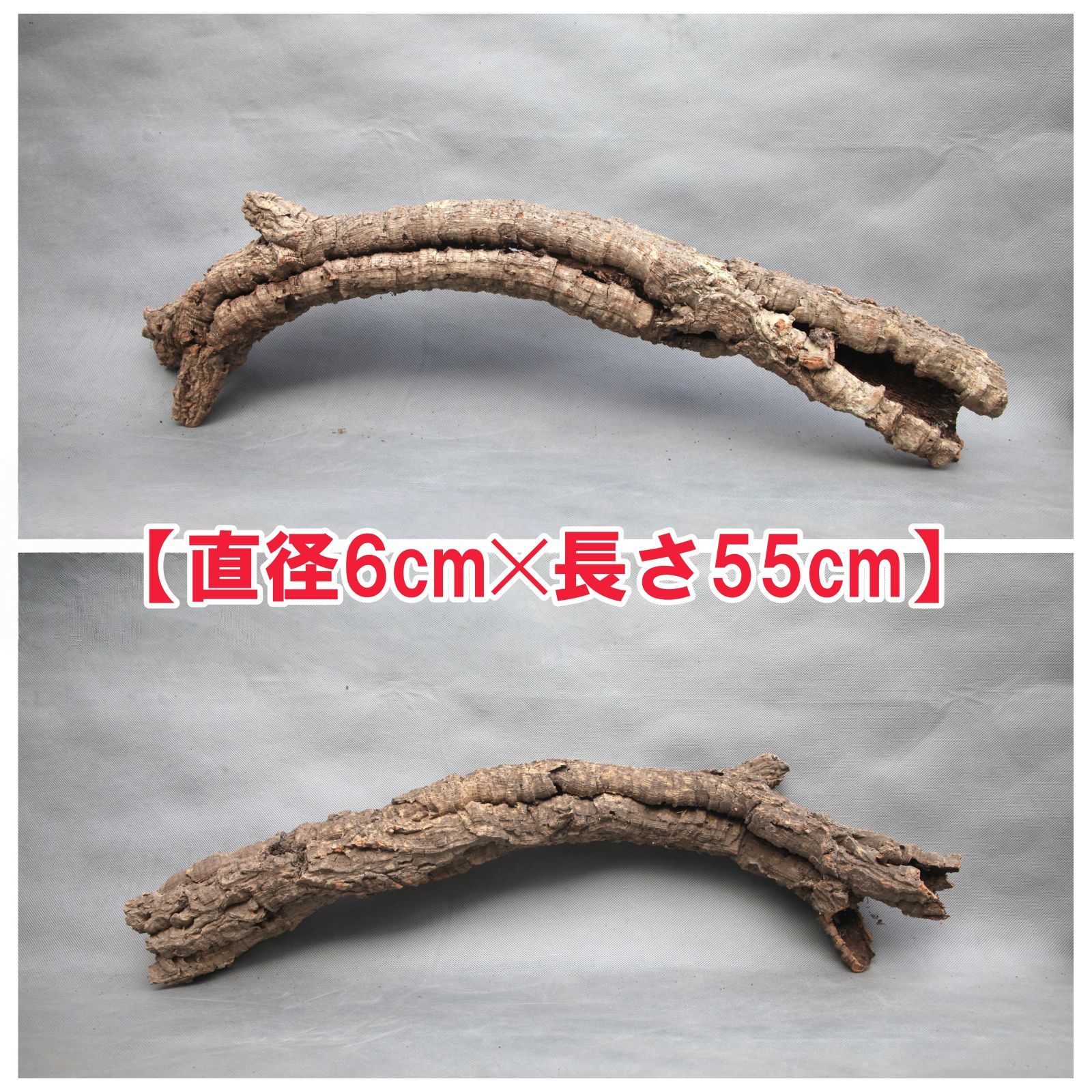 ポルトガル産コルク樹皮PL-102-10LL ポルトガル産コルク樹皮PL-102