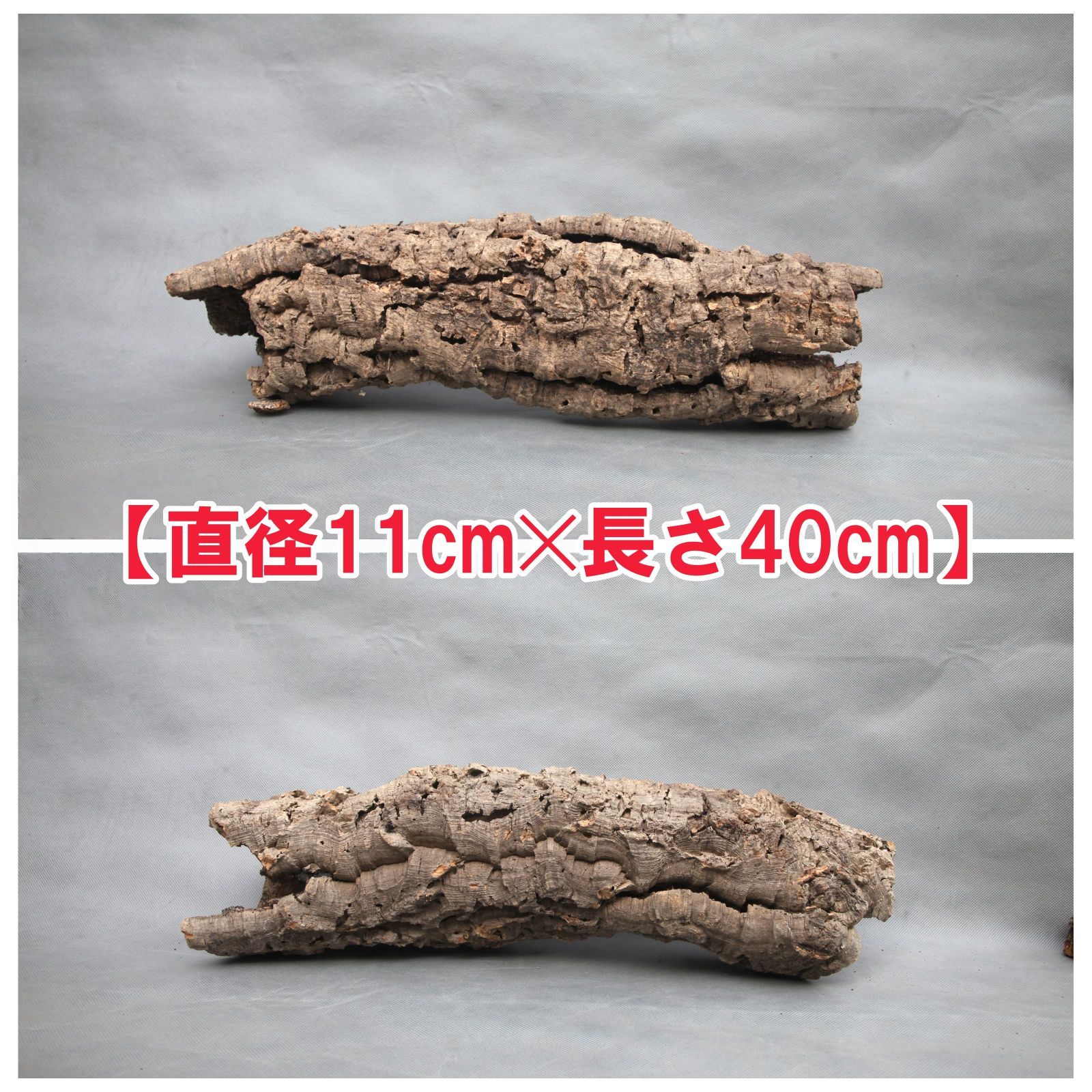 W502 ポルトガル産 キャノンコルク コルク樹皮 コルク板 バージン